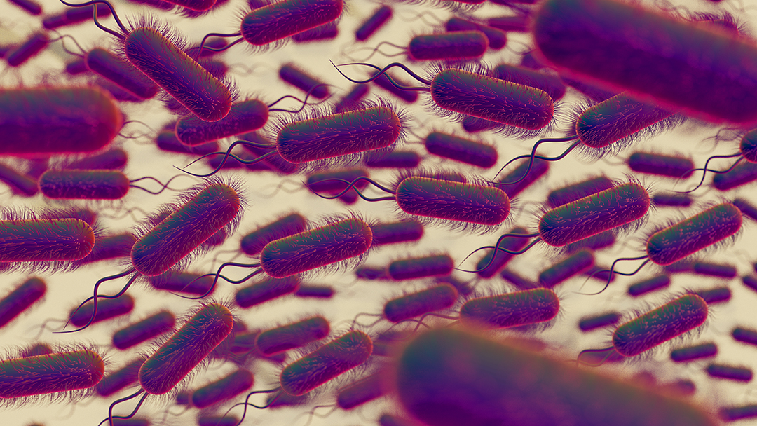 3d-representation-microscopic-pathogens.jpg