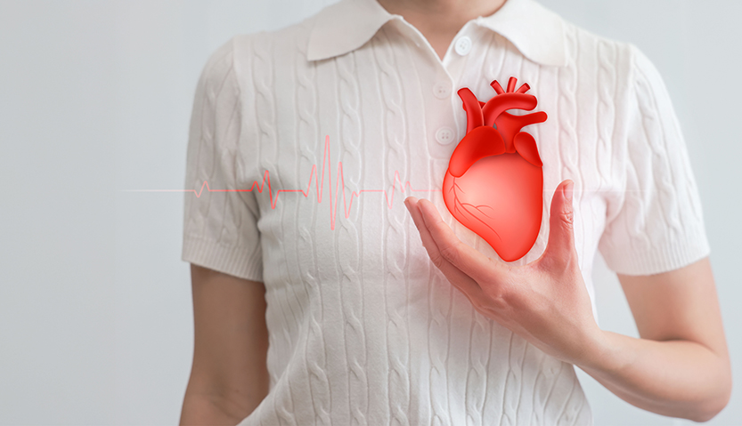 health-care-medical-focus-heartbeat-checking-function-patient-heart-health-insurance-love-world-heart-day-check-up-heart-attack-cardiology-hospital-service-business.jpg